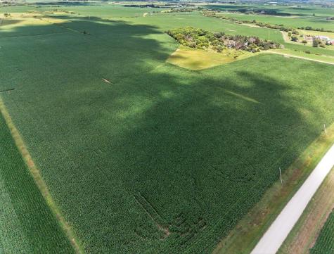 Tbd County Road 149 Hayfield MN 55940