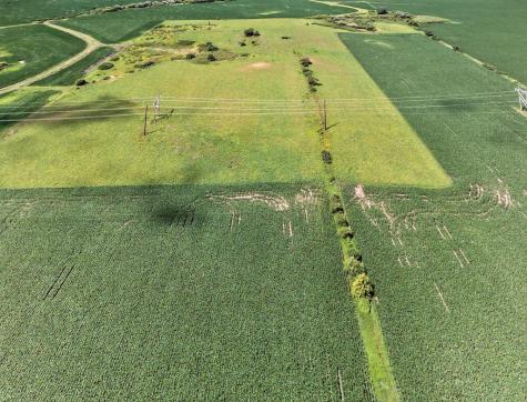Tbd County Road 149 Hayfield MN 55940
