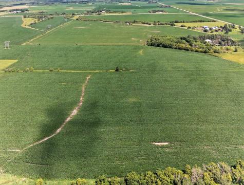 Tbd County Road 149 Hayfield MN 55940
