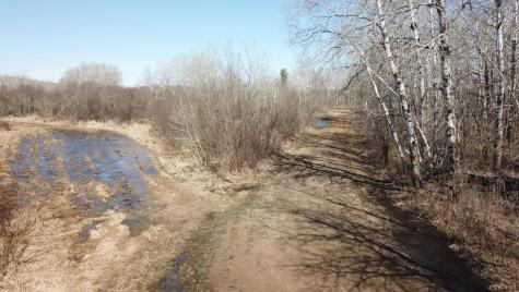 Tbd Basswood Drive Cushing MN 56443