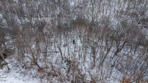 0 Maplewood Lane Alma WI 54610