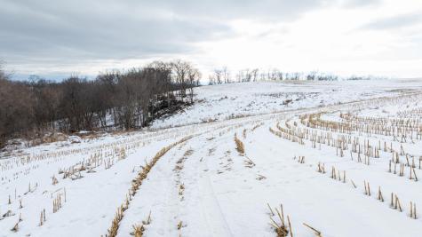 0 Maplewood Lane Alma WI 54610
