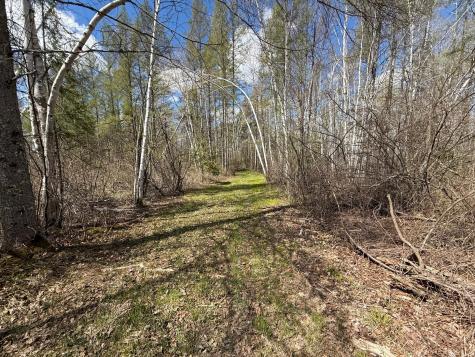 89225 Little Oak Lake Road Kerrick MN 55756