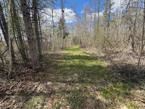 89225 Little Oak Lake Road Kerrick MN 55756