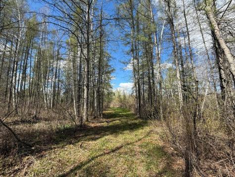 89225 Little Oak Lake Road Kerrick MN 55756