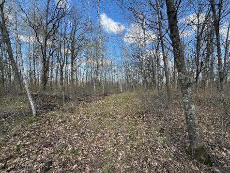 89225 Little Oak Lake Road Kerrick MN 55756