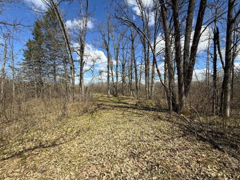 89225 Little Oak Lake Road Kerrick MN 55756