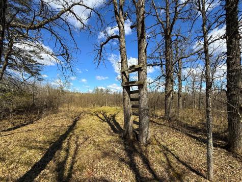 89225 Little Oak Lake Road Kerrick MN 55756