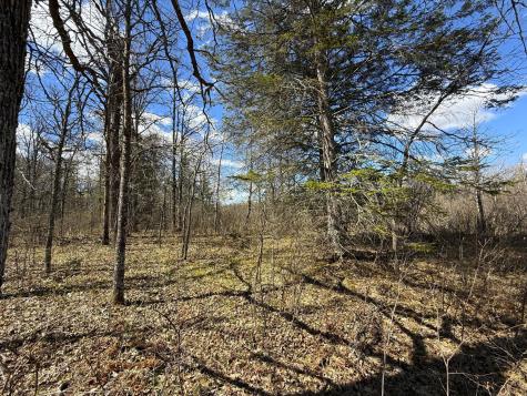 89225 Little Oak Lake Road Kerrick MN 55756