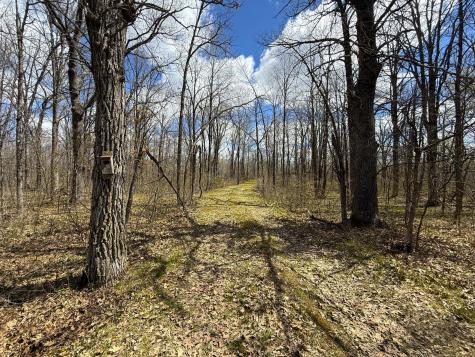 89225 Little Oak Lake Road Kerrick MN 55756