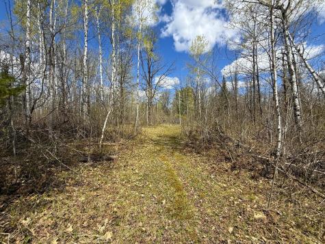 89225 Little Oak Lake Road Kerrick MN 55756