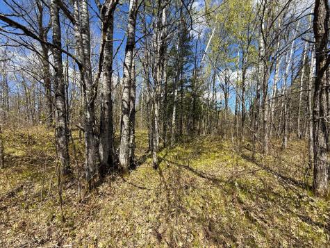 89225 Little Oak Lake Road Kerrick MN 55756