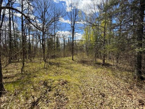 89225 Little Oak Lake Road Kerrick MN 55756