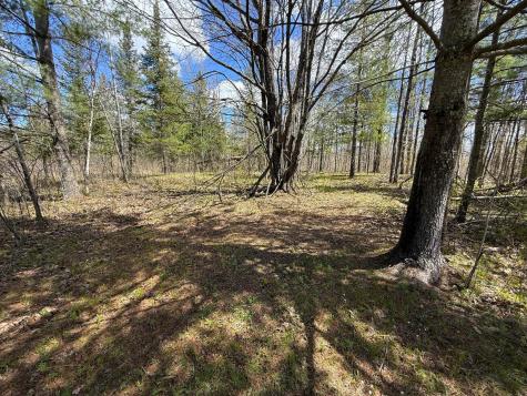89225 Little Oak Lake Road Kerrick MN 55756