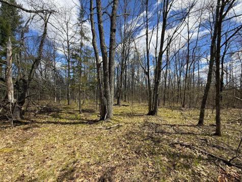 89225 Little Oak Lake Road Kerrick MN 55756