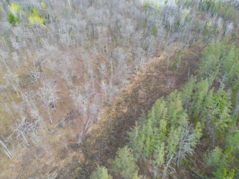 89225 Little Oak Lake Road Kerrick MN 55756
