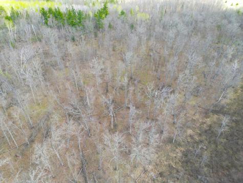 89225 Little Oak Lake Road Kerrick MN 55756