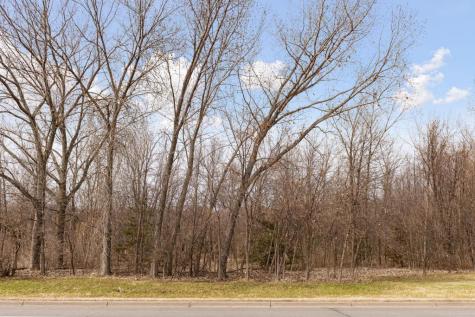 Tbd Lake Boulevard Buffalo MN 55313