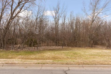 Tbd Lake Boulevard Buffalo MN 55313