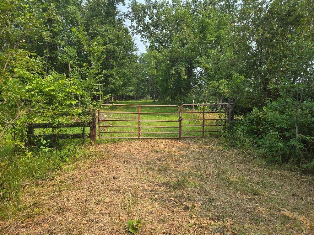 Tbd State 87 SW Backus MN 56435