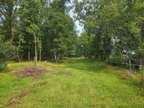 Tbd State 87 SW Backus MN 56435
