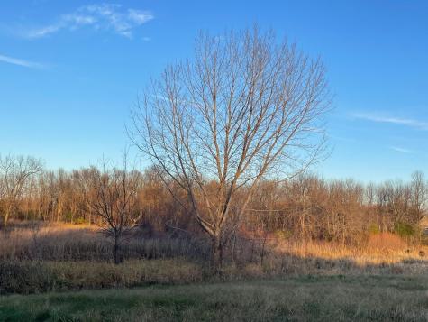 Lot 11 Block 1 Donway Place NE Alexandria MN 56308