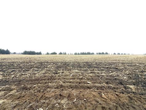 Tbd Tadpole Road Perham MN 56573