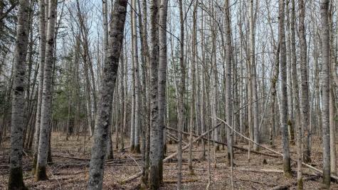 Lot 3 Lund Road Cook MN 55723