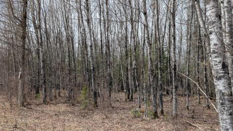 Lot 3 Lund Road Cook MN 55723