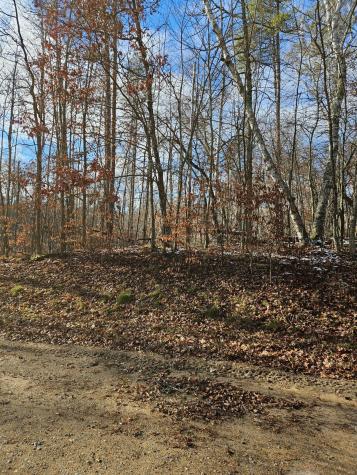 Lot 1 Raccoon Lane Breezy Point MN 56472