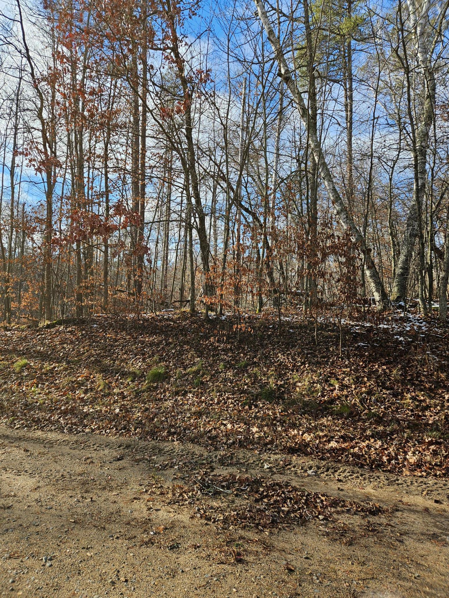 Lot 1 Raccoon Lane Breezy Point MN 56472
