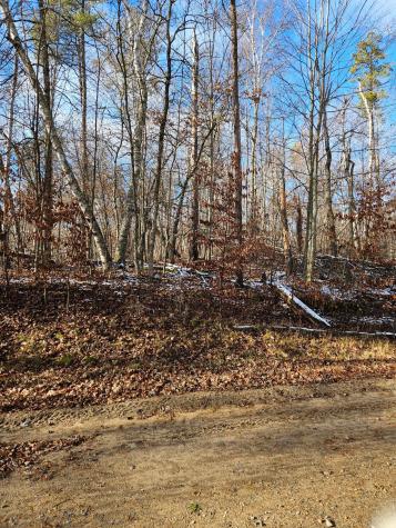 Lot 1 Raccoon Lane Breezy Point MN 56472