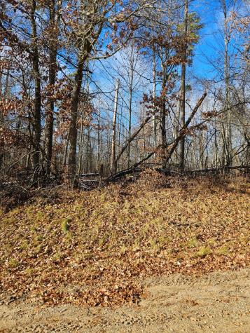 Lot 1 Raccoon Lane Breezy Point MN 56472