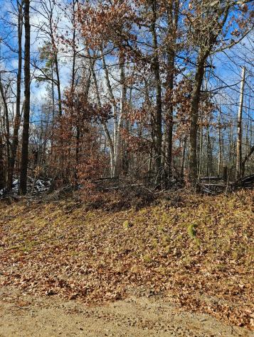 Lot 1 Raccoon Lane Breezy Point MN 56472