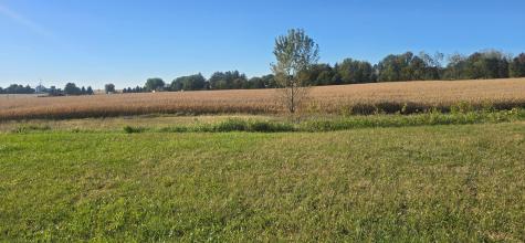 Tbd ( Lot 4, Blk 1) 3rd Avenue SE Harmony MN 55939