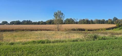 Tbd ( Lot 4, Blk 1) 3rd Avenue SE Harmony MN 55939