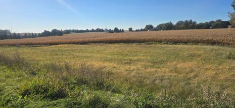 Tbd ( Lot 4, Blk 1) 3rd Avenue SE Harmony MN 55939