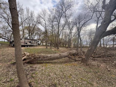 31271 247th Avenue Wendell MN 56590