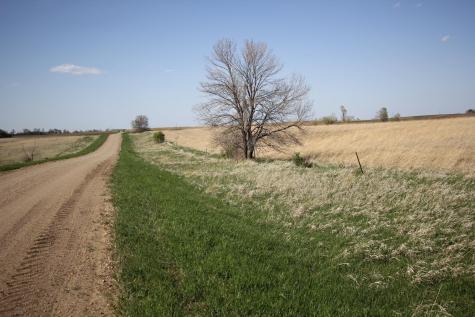 Tbd 150th Street Canby MN 56220