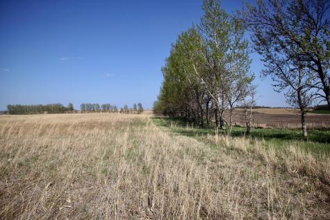 Tbd 150th Street Canby MN 56220