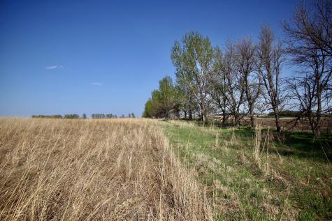 Tbd 150th Street Canby MN 56220