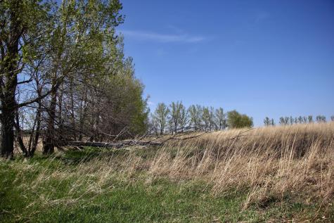 Tbd 150th Street Canby MN 56220