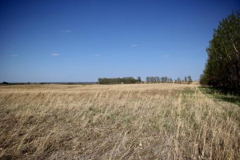 Tbd 150th Street Canby MN 56220
