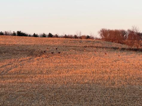 Tbd County Road 3 Zumbro Falls MN 55991