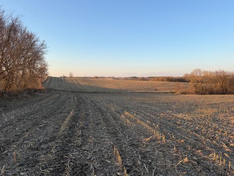 Tbd County Road 3 Zumbro Falls MN 55991