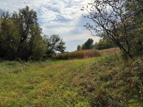 Tbd County Road 3 Zumbro Falls MN 55991