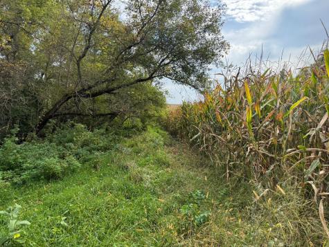 Tbd County Road 3 Zumbro Falls MN 55991
