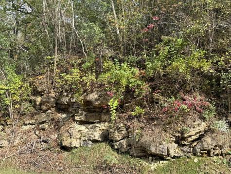 Tbd County Road 3 Zumbro Falls MN 55991