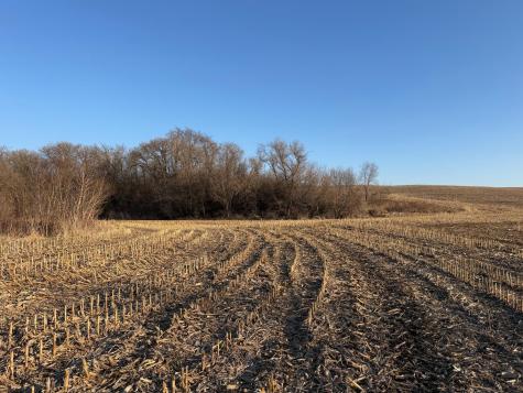 Tbd County Road 3 Zumbro Falls MN 55991