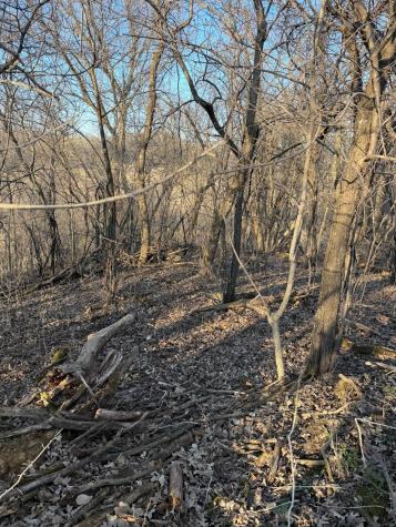 Tbd County Road 3 Zumbro Falls MN 55991